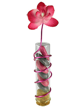 Eprouvette transparente avec dragées et orchidée