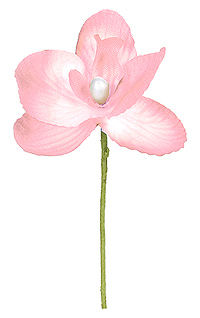 orchidée artificielle rose